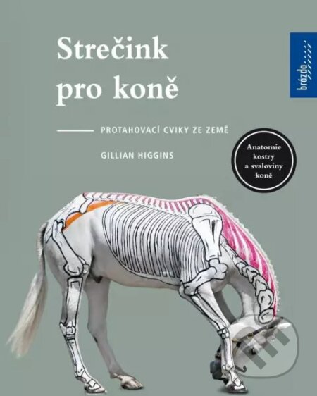 Strečink pro koně (Protahovací cviky ze země)