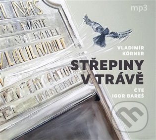Střepiny v trávě