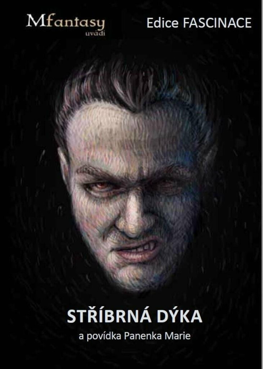 Stříbrná dýka - Šimek Petr