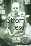 Strom v lese