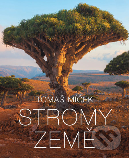 Stromy Země