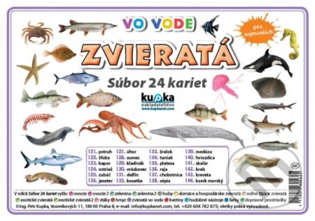 Súbor 24 kariet - Zvieratá (vo vode)
