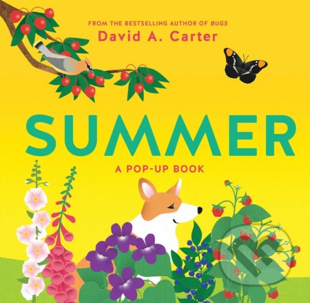 Summer (A Pop-Up Book)