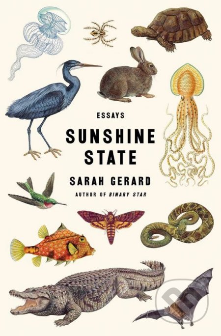 Sunshine State (Essays)