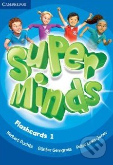 Super Minds 1 - Flashcards