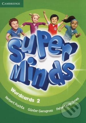 Super Minds Level 2 (Wordcards (Pack of 90))