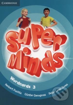 Super Minds Level 3 (Wordcards (Pack of 83))