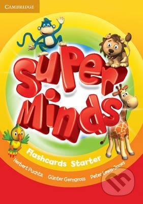 Super Minds Starter: Flashcards (Pack of 78)