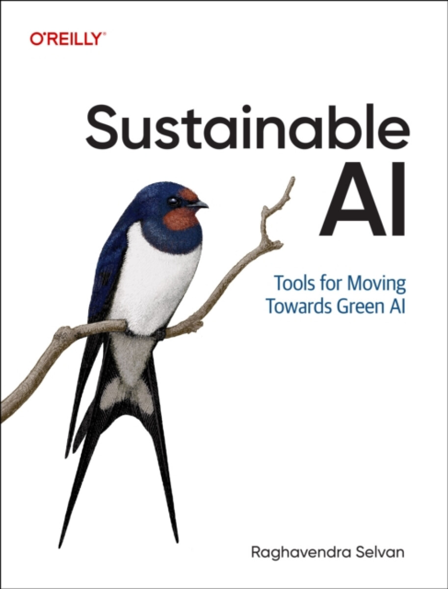 Sustainable AI