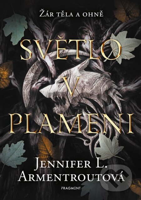 Světlo v plameni