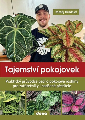 Tajemství pokojovek - Matěj Hradský