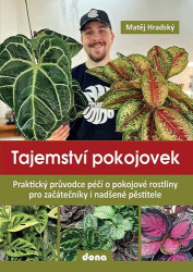 Tajemství pokojovek - Matěj Hradský