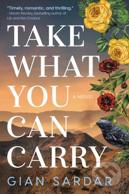 Take What You Can Carry (A Novel)