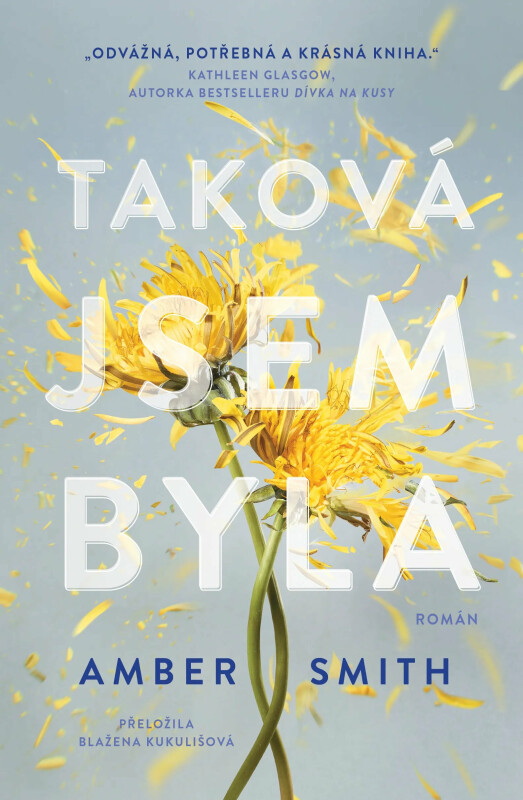 Taková jsem byla - Amber Smith