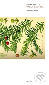Taxus Baccata