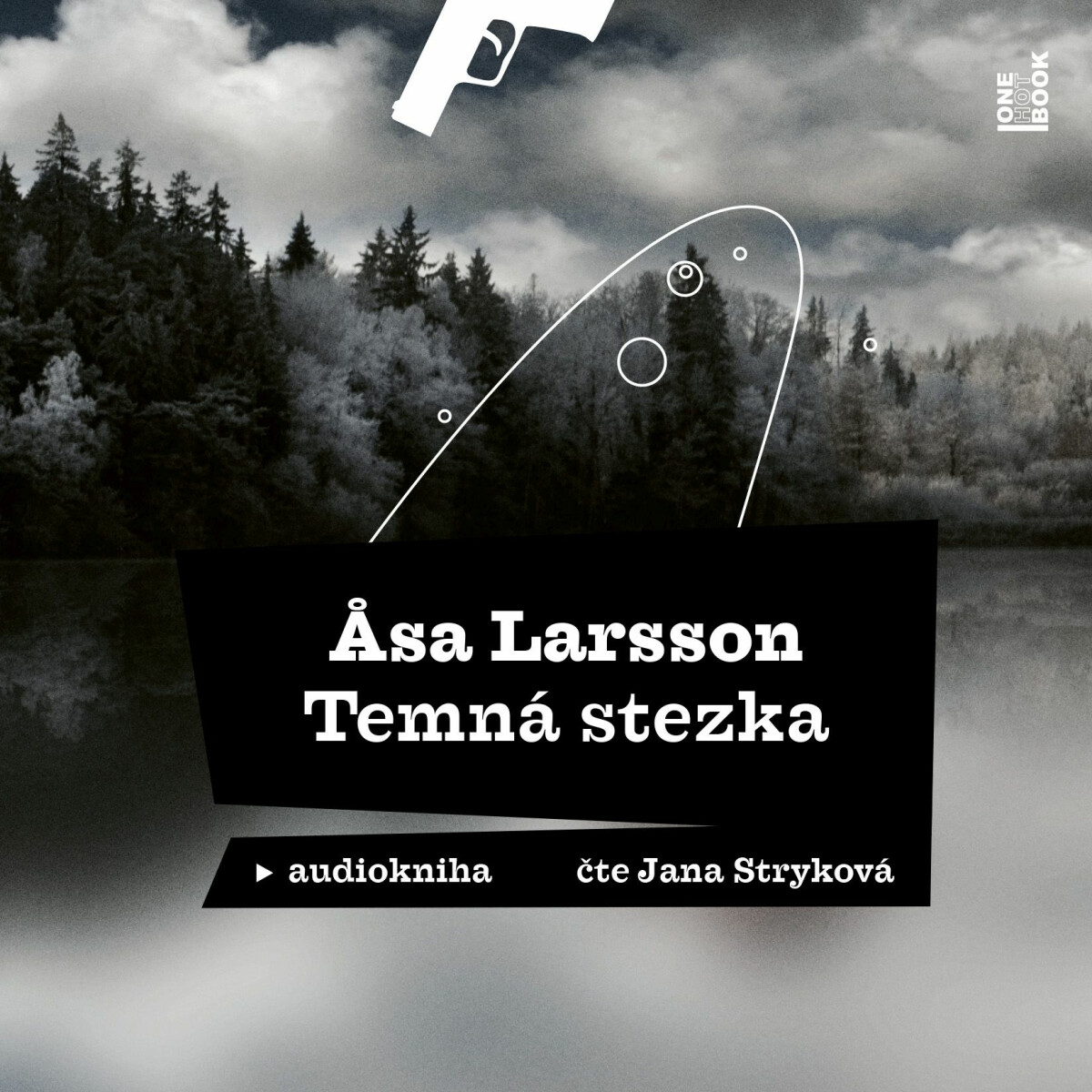 Temná stezka - Äsa Larssonová - audiokniha