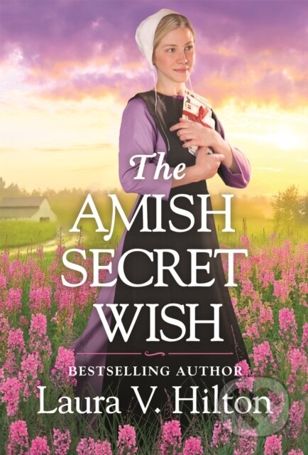 The Amish Secret Wish