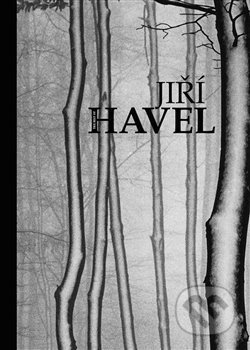 The Best of Jiří Havel