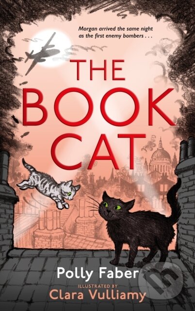 The Book Cat