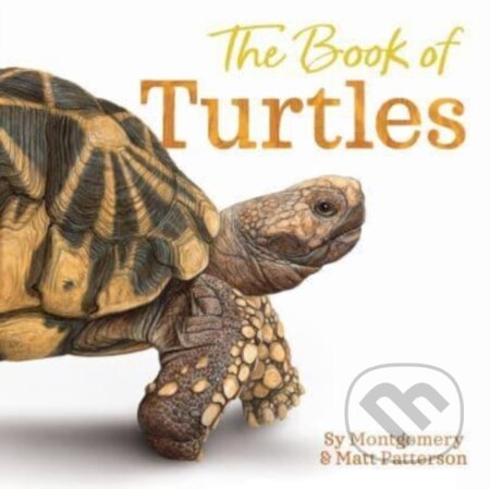 The Book of Turtles