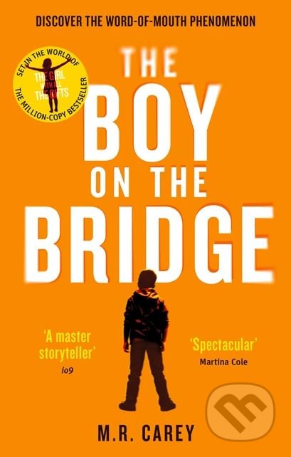The Boy on the Bridge