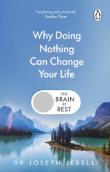 The Brain at Rest - Joseph Jebelli