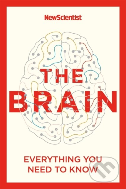 The Brain (Everything You Need to Know)