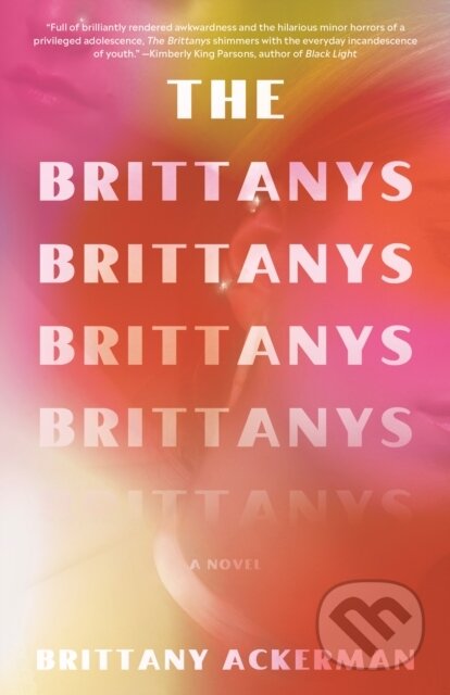The Brittanys (A Novel)