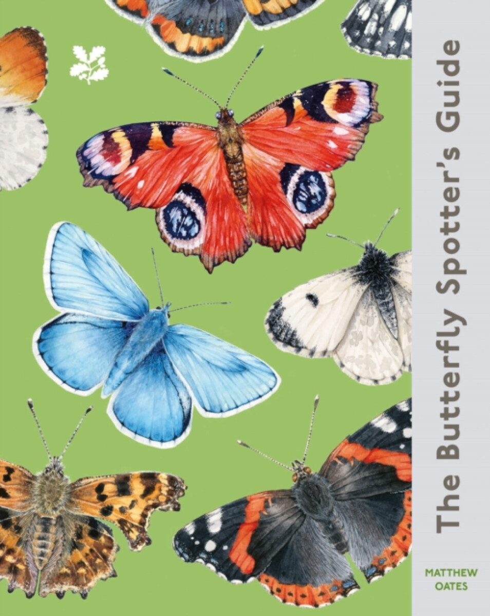 The Butterfly Spotterâ€™s Guide