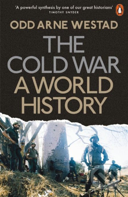 The Cold War (A World History)