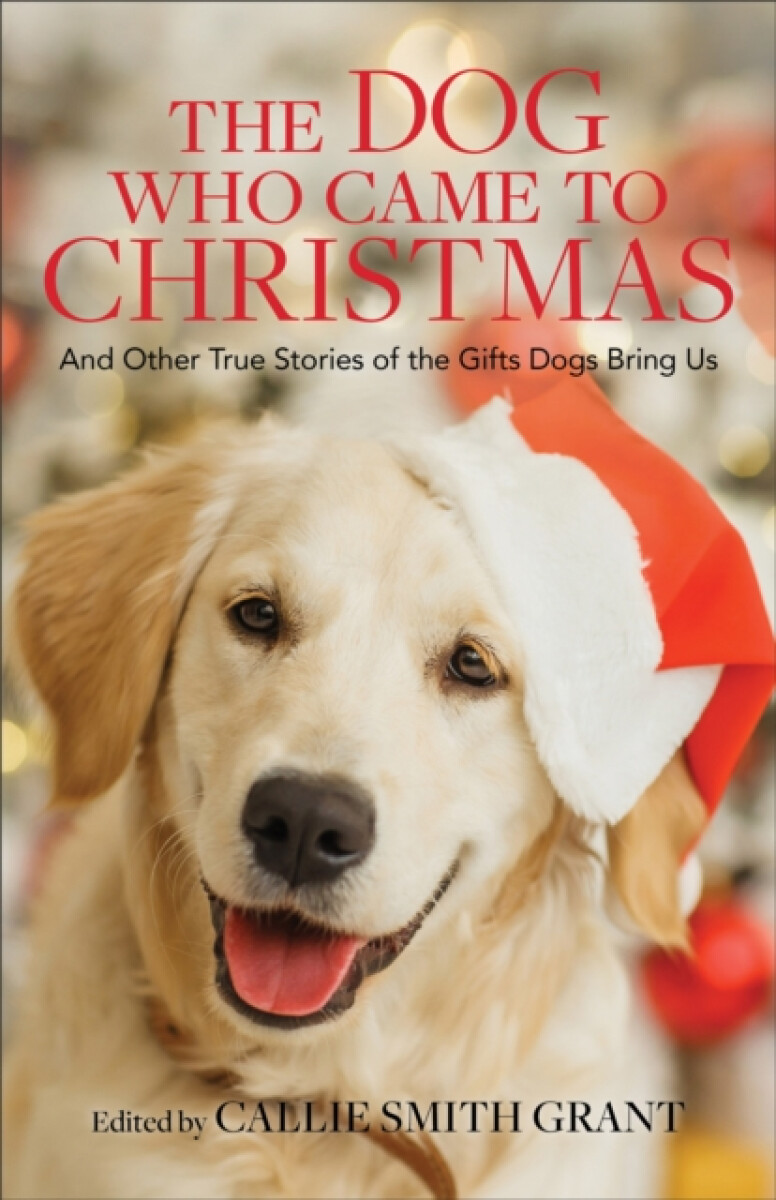 The Dog Who Came to Christmas â€“ And Other True Stories of the Gifts Dogs Bring Us