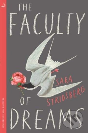 The Faculty of Dreams