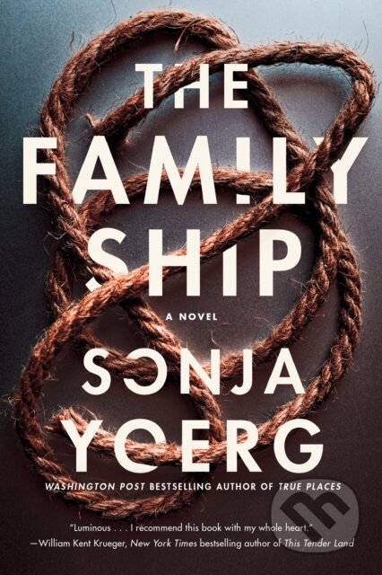 The Family Ship (A Novel)