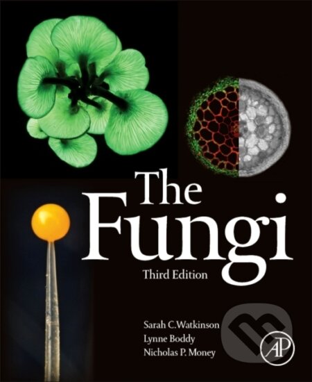 The Fungi