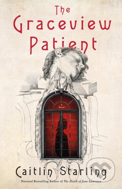 The Graceview Patient (A Novel)