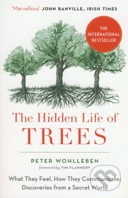 The Hidden Life of Trees