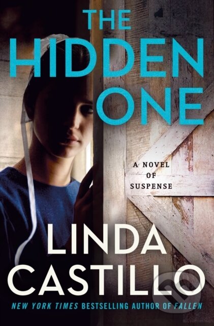 The Hidden One (A Novel of Suspense)