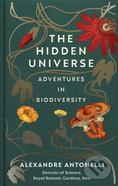 The Hidden Universe