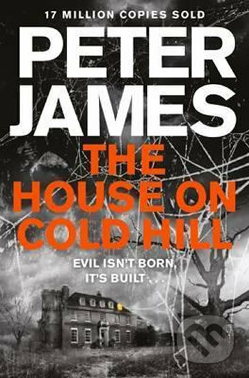 The House on Cold Hill