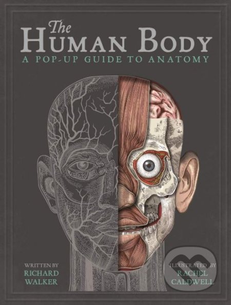 The Human Body (A Pop-Up Guide to Anatomy)