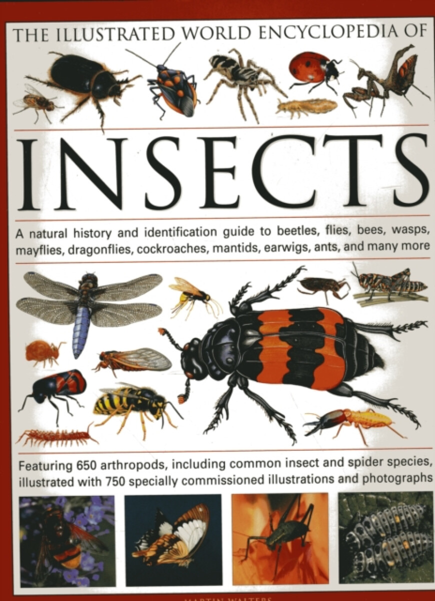 The Illustrated World Encyclopaedia of Insects