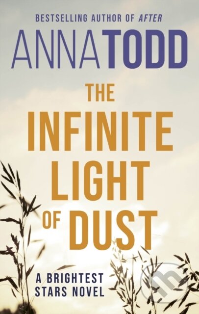 The Infinite Light of Dust