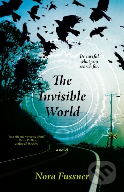 The Invisible World (A Novel)