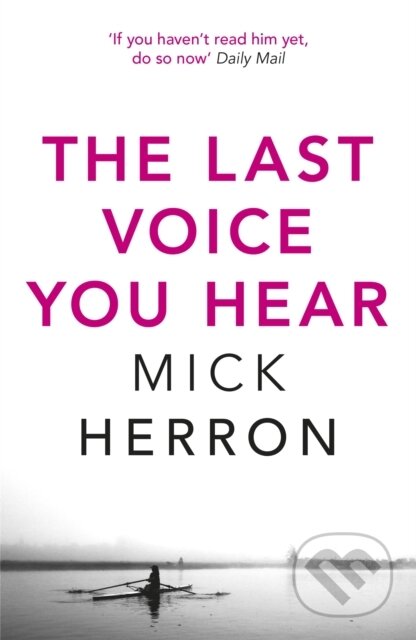 The Last Voice You Hear (Zoe Boehm Thriller 2)