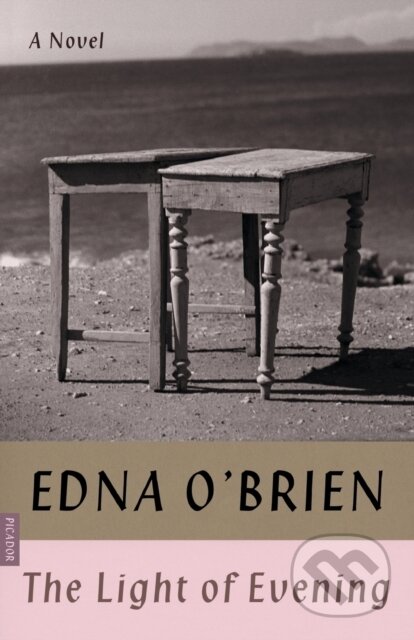 The Light of Evening (A Novel)