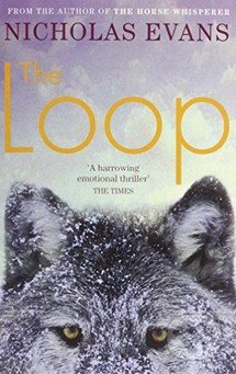 The Loop