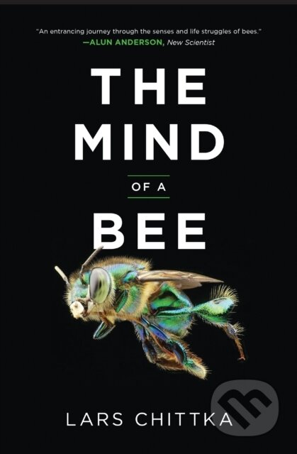 The Mind of a Bee