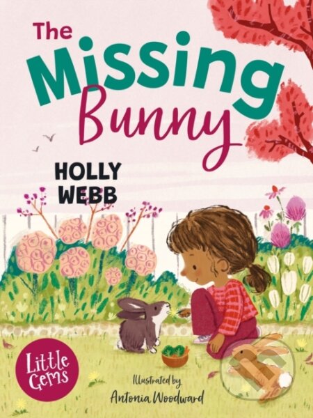 The Missing Bunny