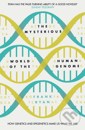 The Mysterious World of the Human Genome