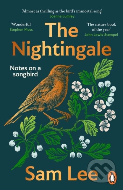 The Nightingale